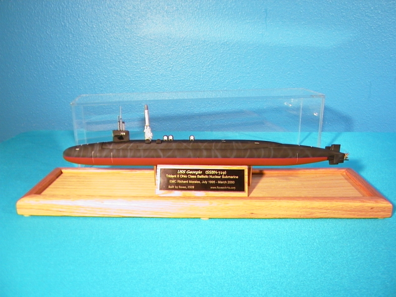Submarine Model Encased
